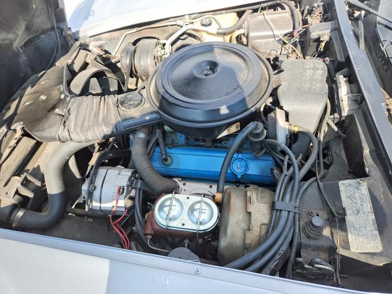 1978 CHEV CORVETTE ANNIVERSARY 11