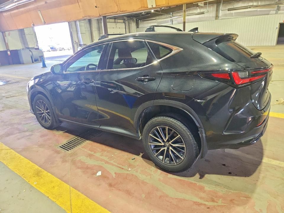 2024 LEXUS NX 250 BASE 2