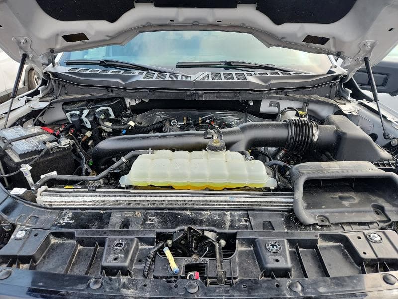 2025 FORD F150 XLT 11
