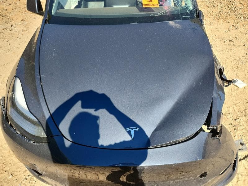 2021 TESLA MODEL Y 11