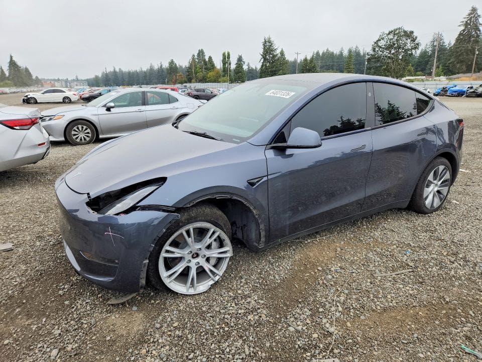 2023 TESLA MODEL Y - 1