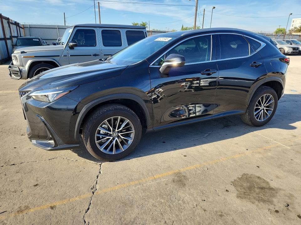 2024 LEXUS NX 250 PREMIUM - 1