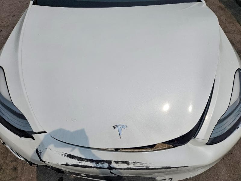 2021 TESLA MODEL Y 12