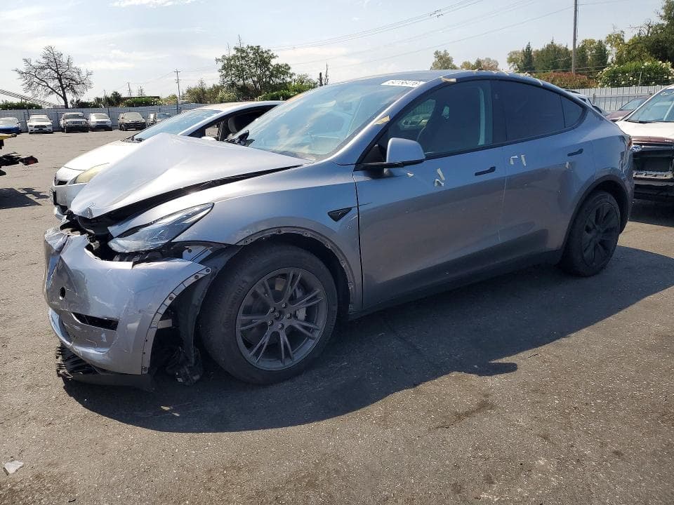 2025 TESLA MODEL Y - 1
