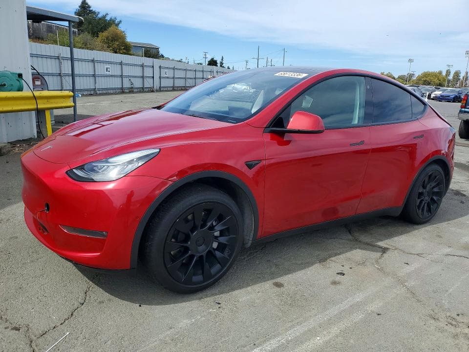 2021 TESLA MODEL Y - 1