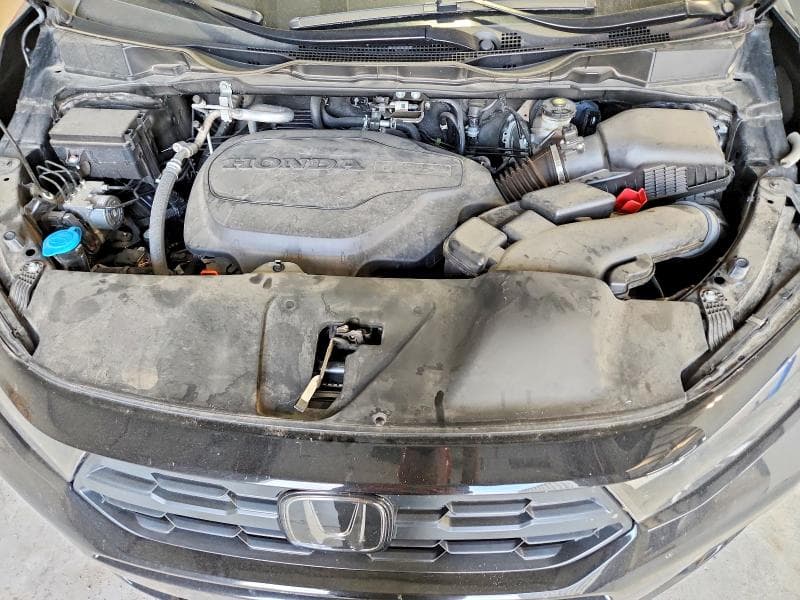 2025 HONDA ODYSSEY EXL 12