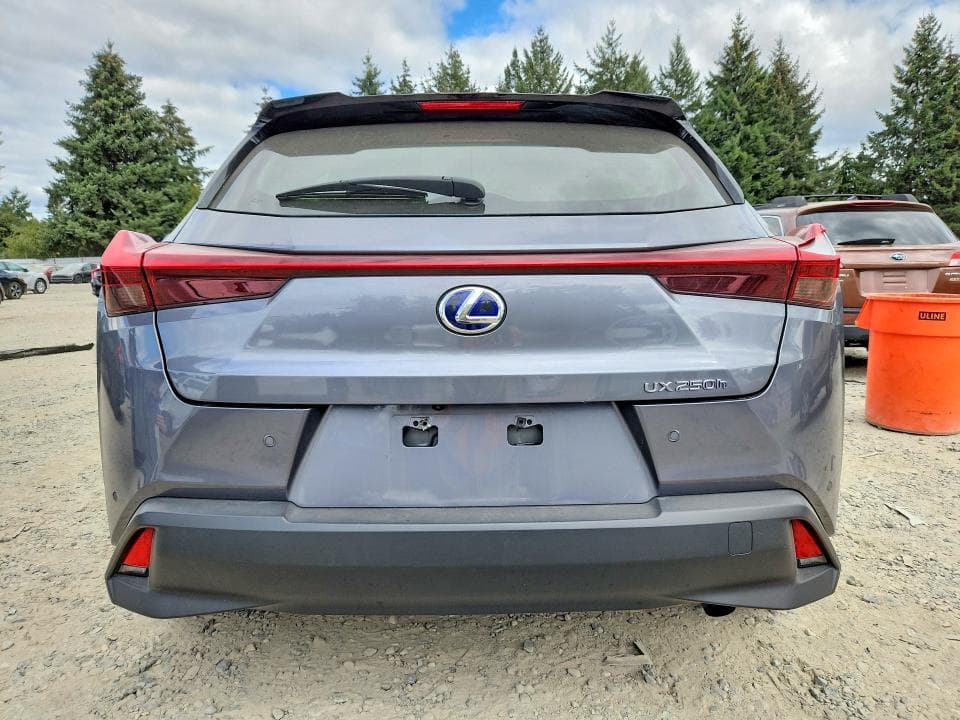 2020 LEXUS UX 250H 6
