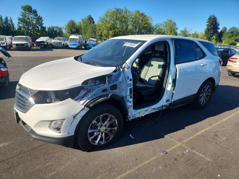 2019 CHEVROLET EQUINOX LS - 1