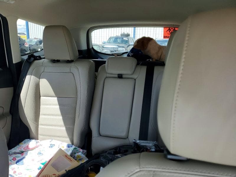 2019 FORD ESCAPE TITANIUM 10