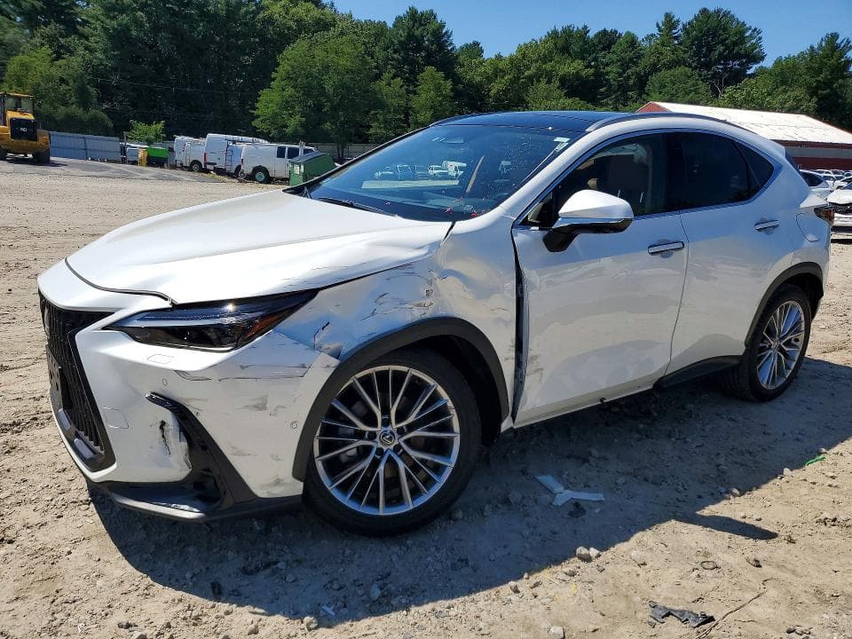 2024 LEXUS NX 350H LUXURY - 1