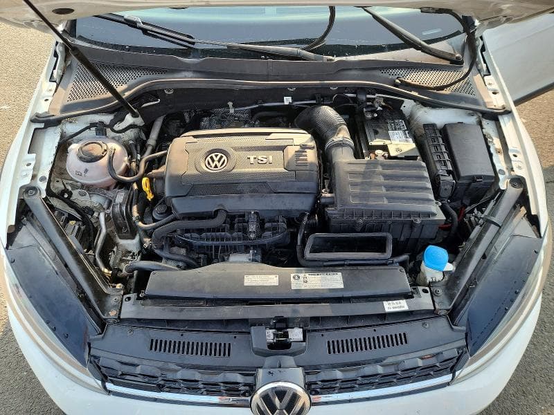 2019 VOLKSWAGEN GOLF ALLTRACK S 11