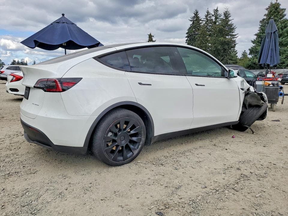 2023 TESLA MODEL Y 3