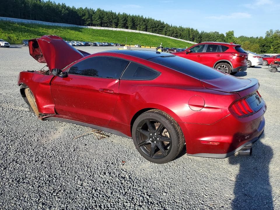 2019 FORD MUSTANG 2
