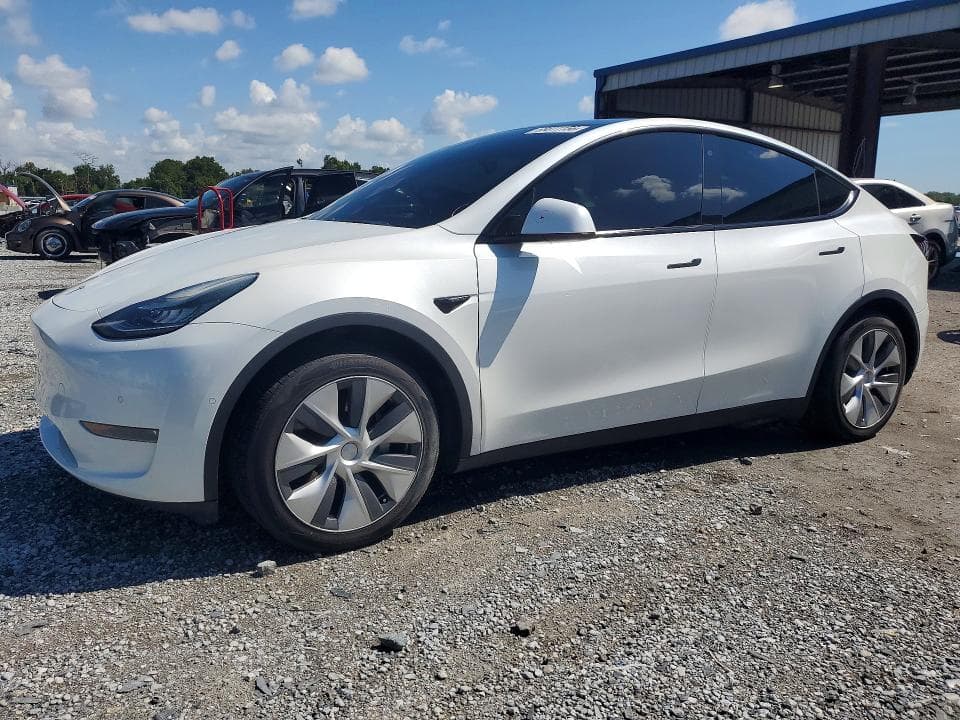 2020 TESLA MODEL Y - 1