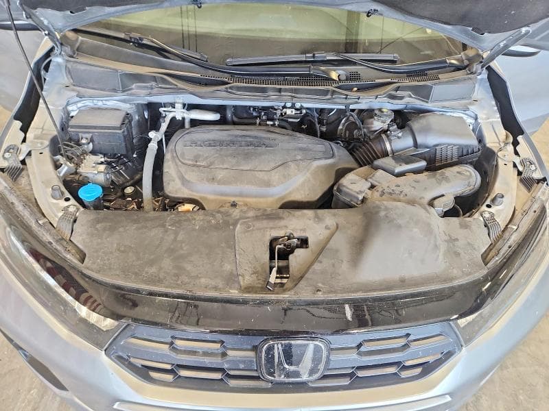 2025 HONDA ODYSSEY EXL 12