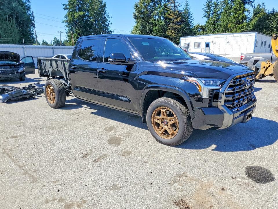 2022 TOYOTA TUNDRA PLATINUM HV 4