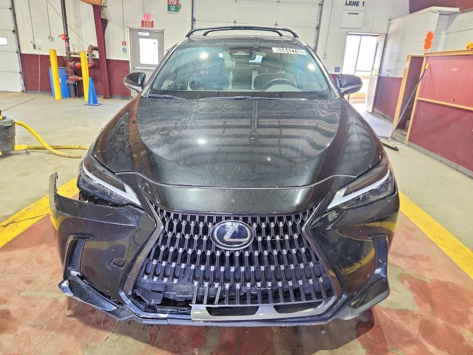 2024 LEXUS NX 250 BASE 5