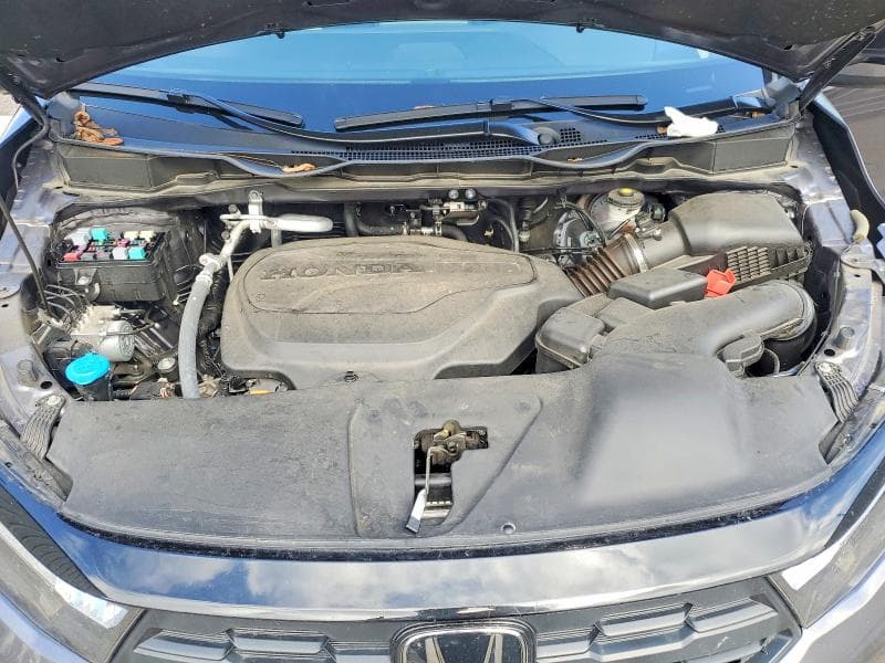 2025 HONDA ODYSSEY EXL 12