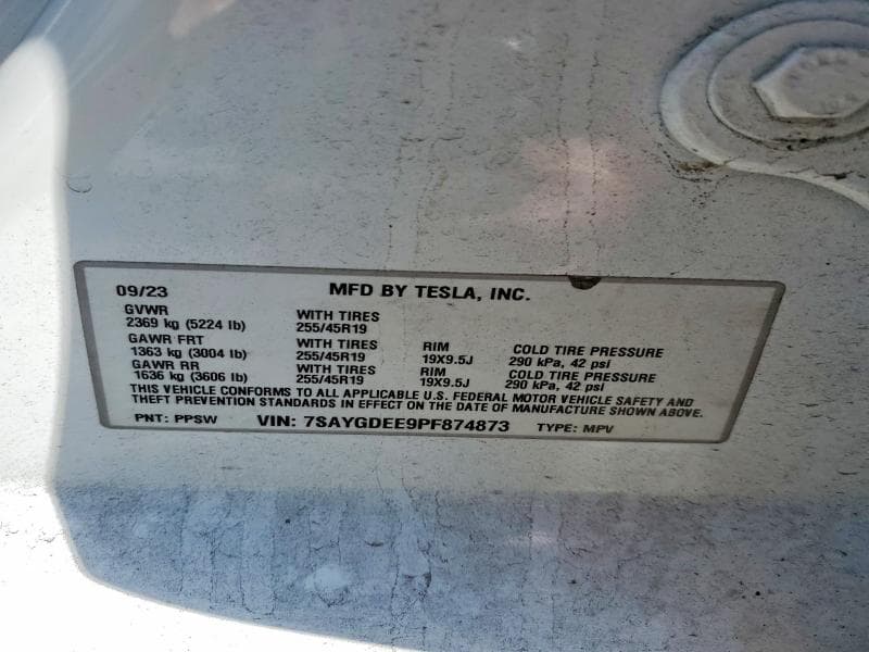 2023 TESLA MODEL Y 13