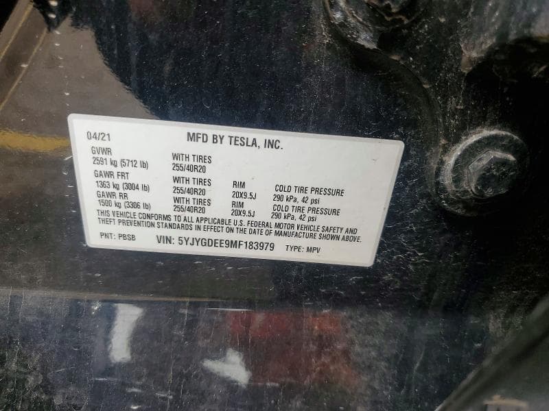 2021 TESLA MODEL Y 13