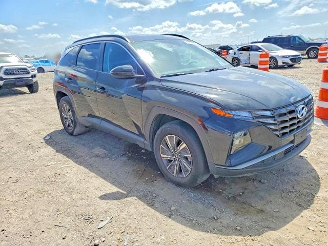 2023 HYUNDAI TUCSON BLUE 4