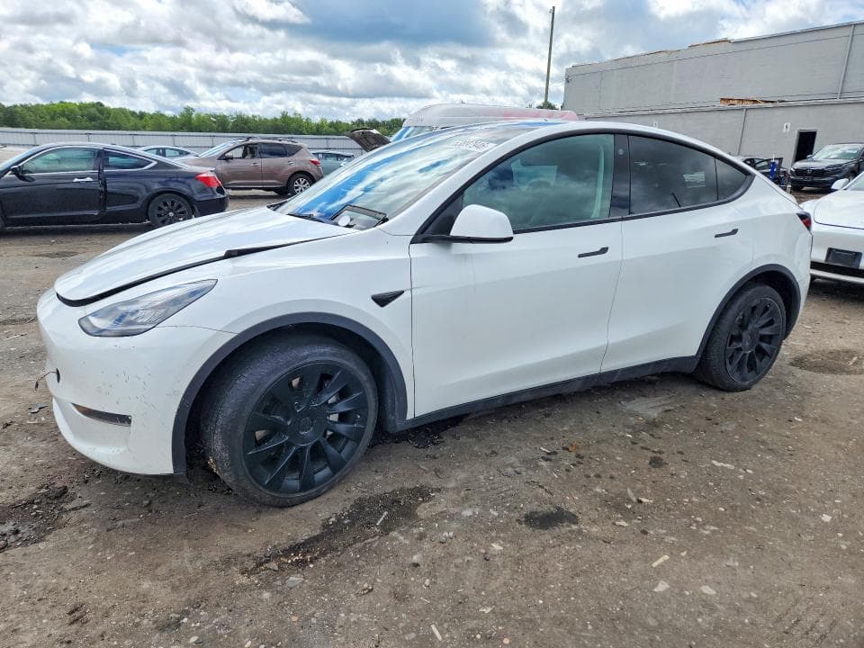 2021 TESLA MODEL Y - 1