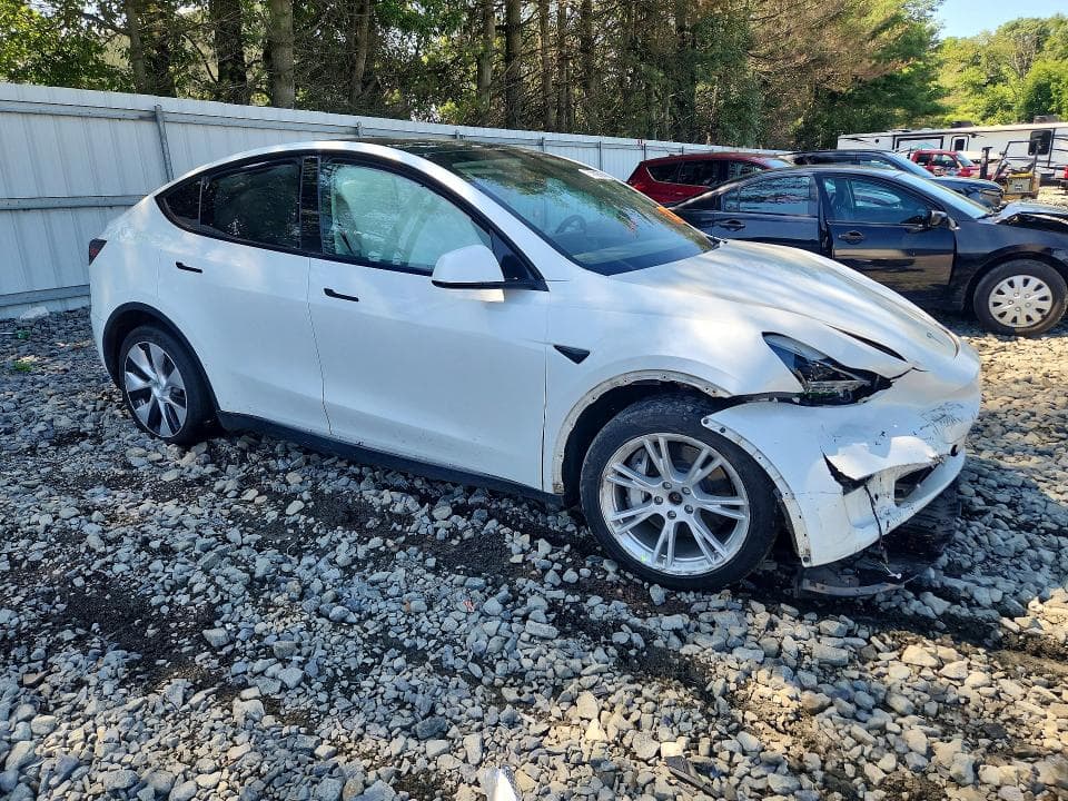 2023 TESLA MODEL Y 4