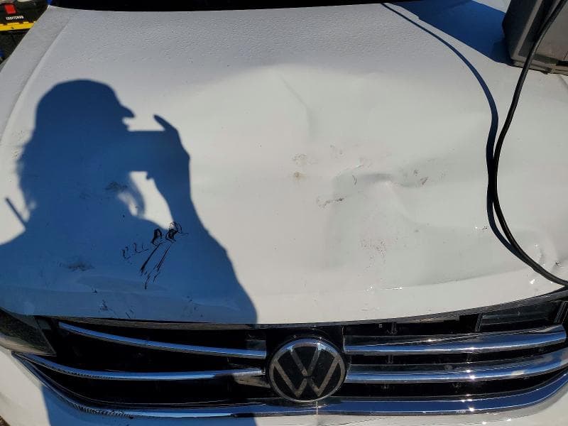 2024 VOLKSWAGEN TIGUAN SE 11