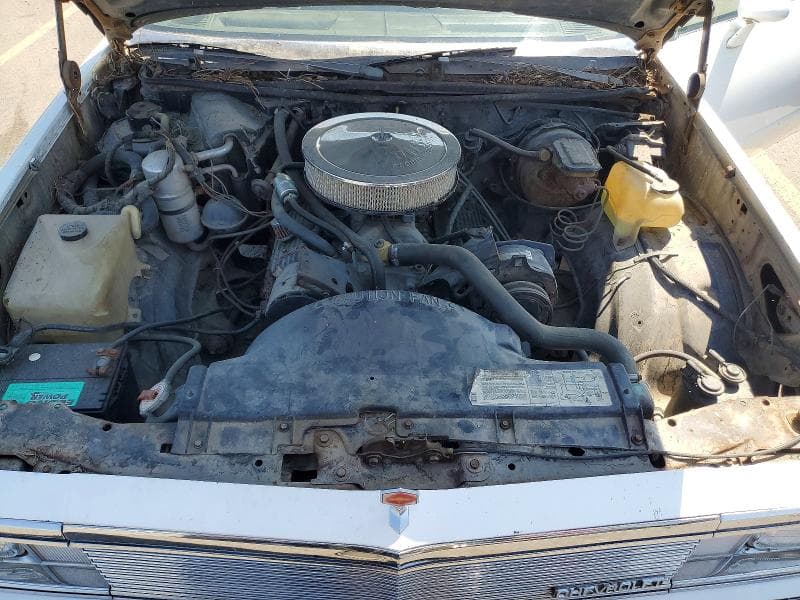 1981 CHEVROLET EL CAMINO 11