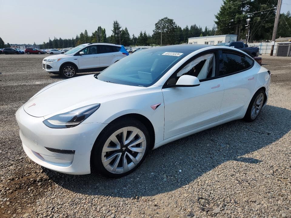 2021 TESLA MODEL 3 - 1