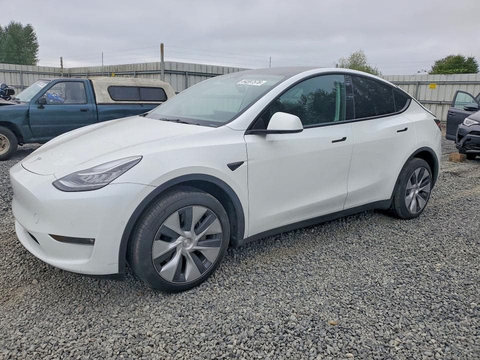 2022 TESLA MODEL Y - 1