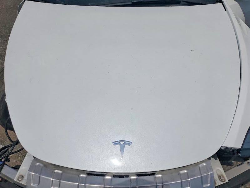 2025 TESLA MODEL Y 12