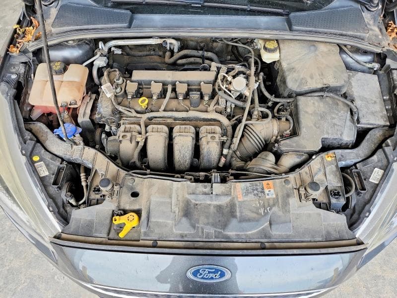 2017 FORD FOCUS SE 11