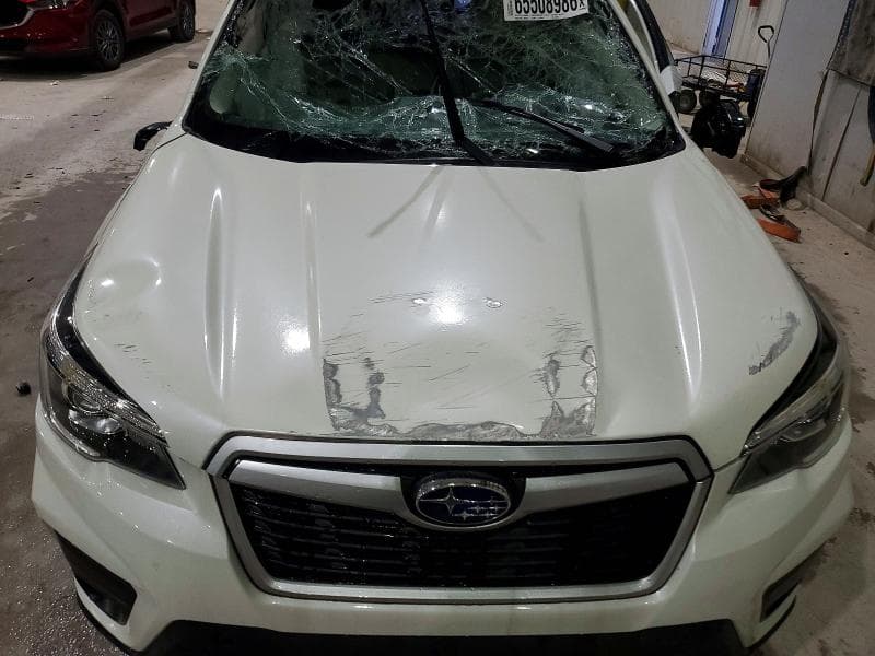 2019 SUBARU FORESTER 12