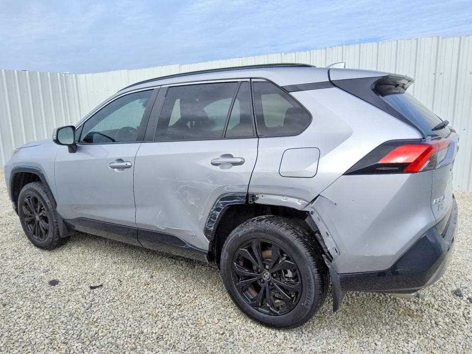 2024 TOYOTA RAV4 SE 2