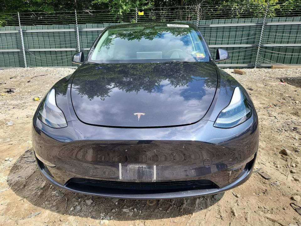 2024 TESLA MODEL Y 5