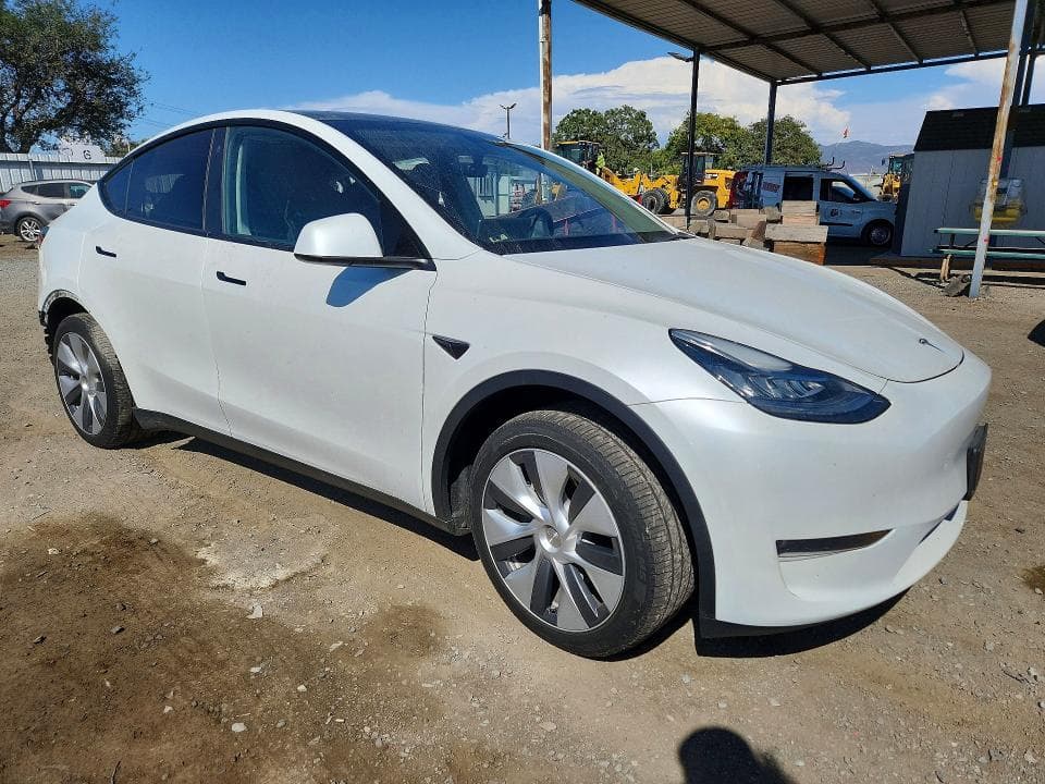 2023 TESLA MODEL Y 4