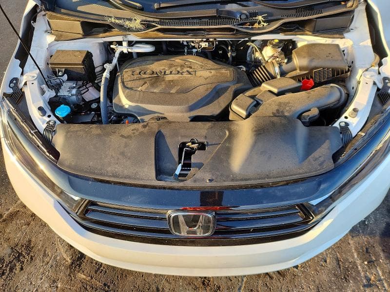 2024 HONDA ODYSSEY SPORT 12