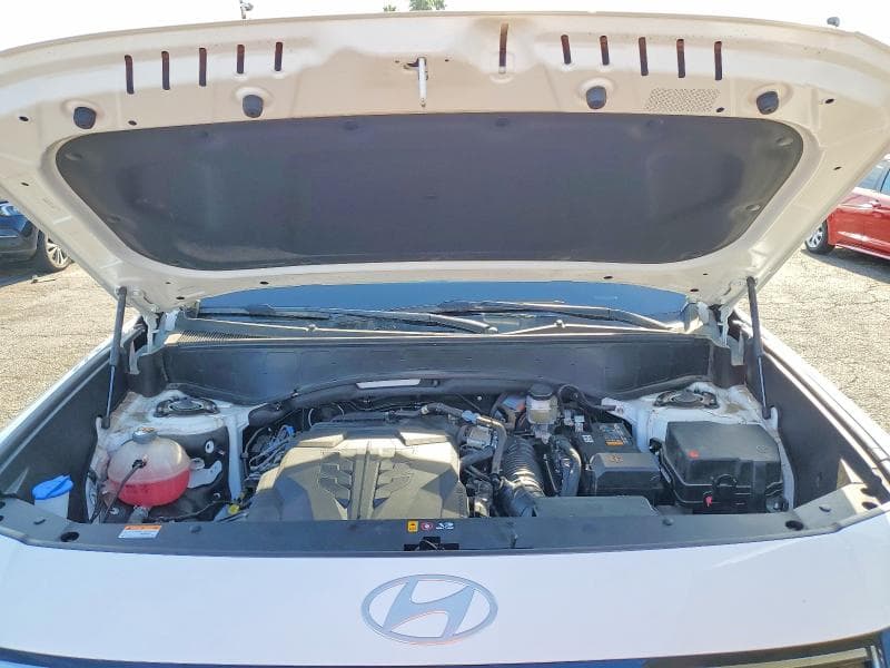 2026 HYUNDAI PALISADE CALLIGRAPHY 12