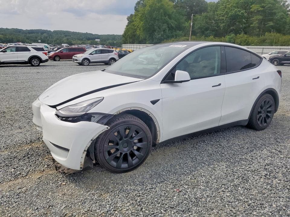 2023 TESLA MODEL Y - 1
