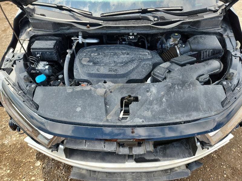 2025 HONDA ODYSSEY EXL 12