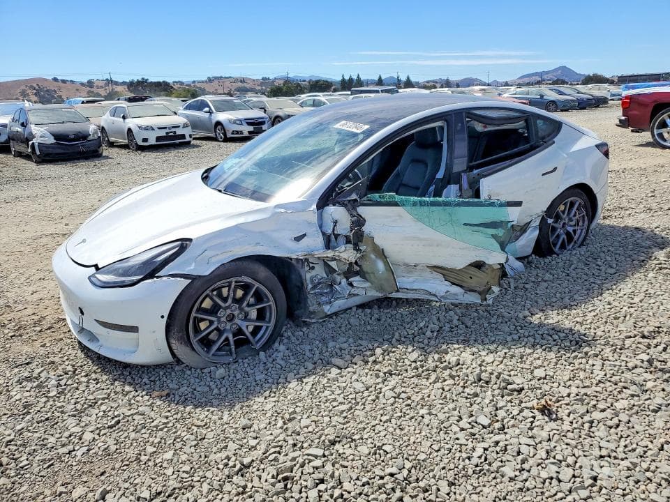 2021 TESLA MODEL 3 - 1