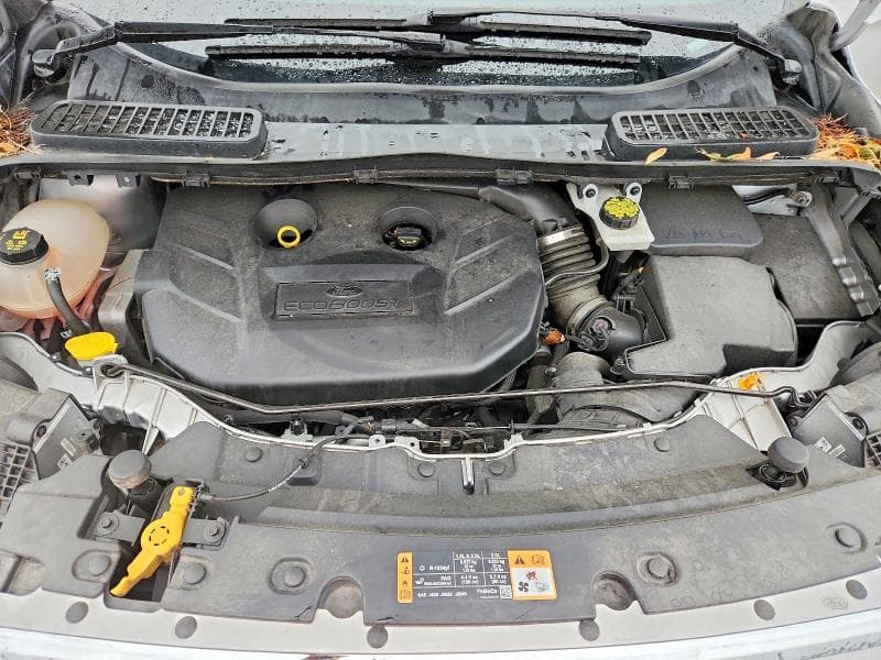 2019 FORD ESCAPE TITANIUM 12