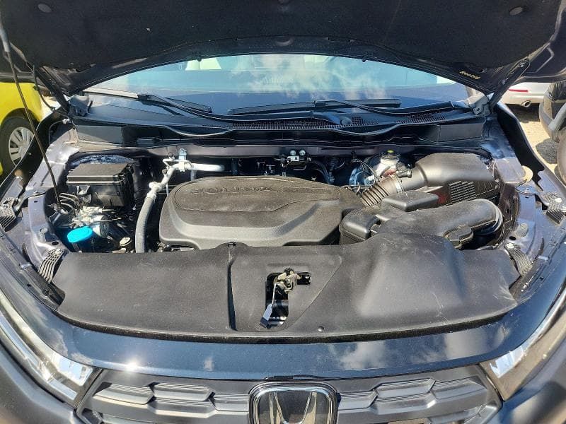 2025 HONDA ODYSSEY EXL 12