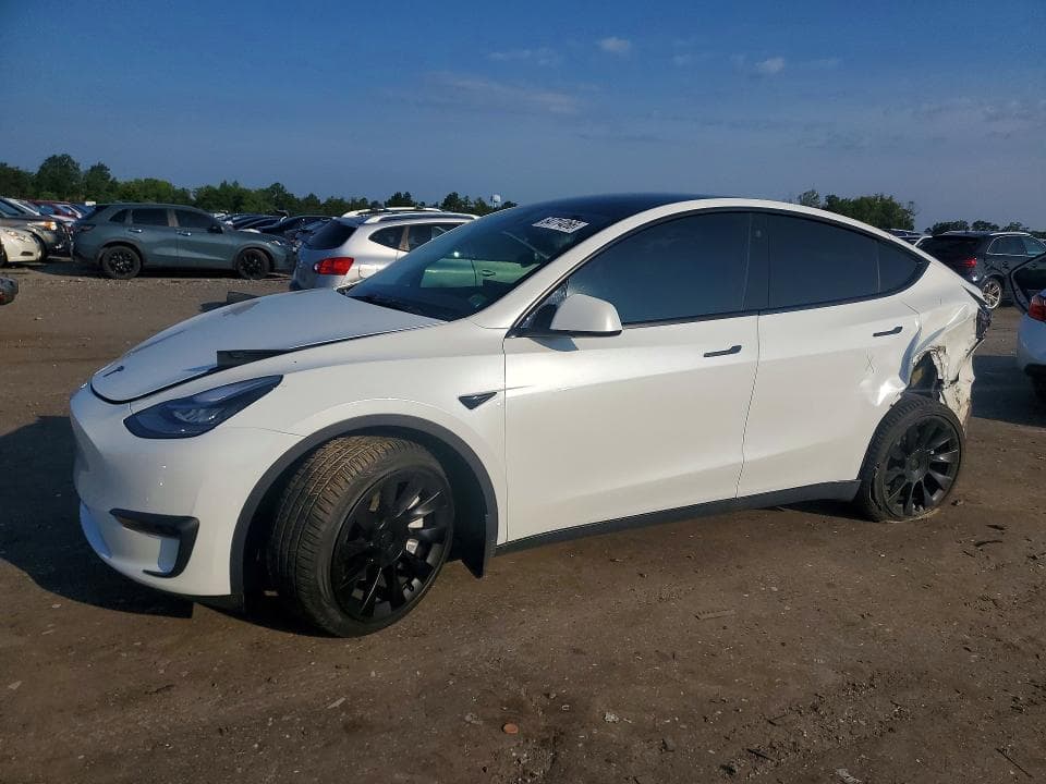 2021 TESLA MODEL Y - 1