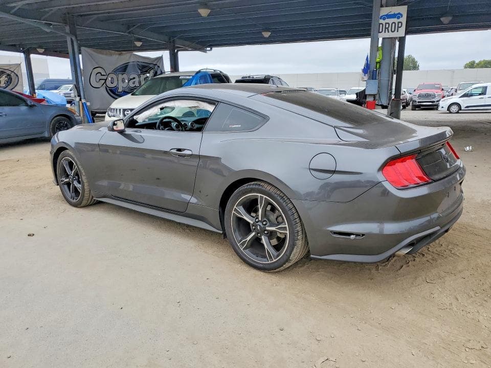 2019 FORD MUSTANG 2
