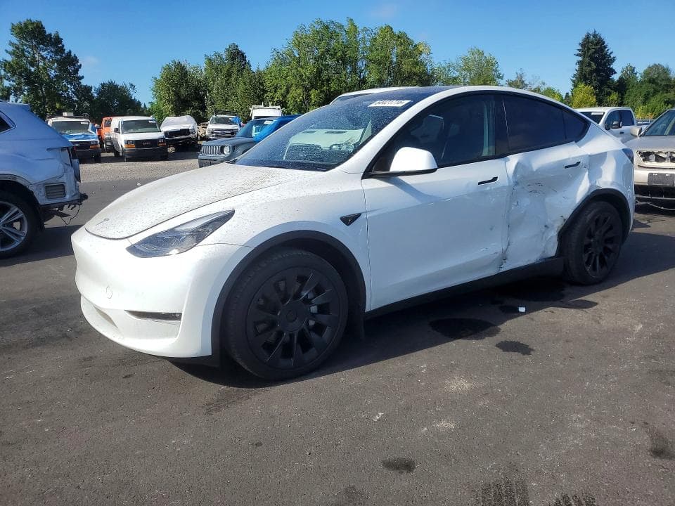 2024 TESLA MODEL Y - 1