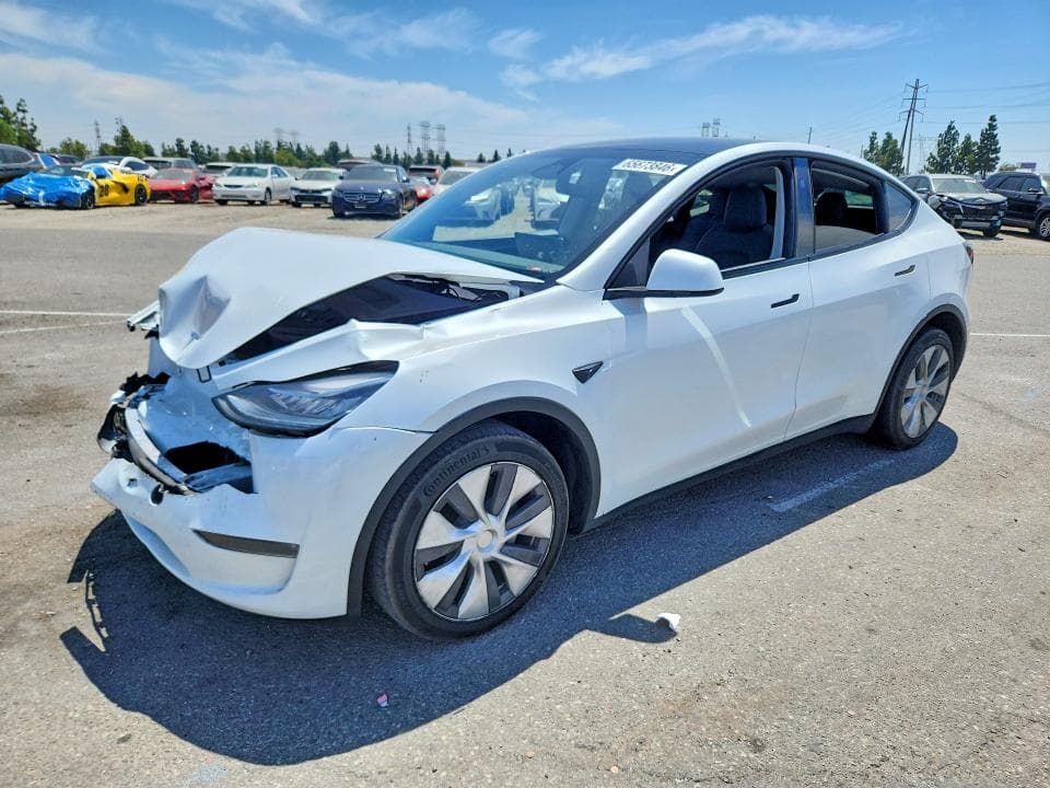 2023 TESLA MODEL Y - 1