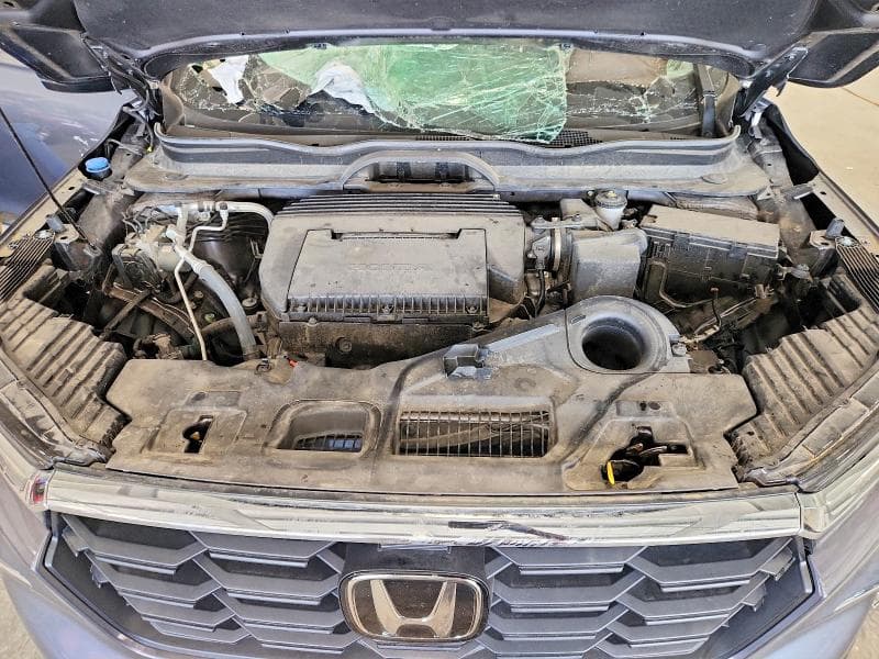 2025 HONDA PILOT EXL 12