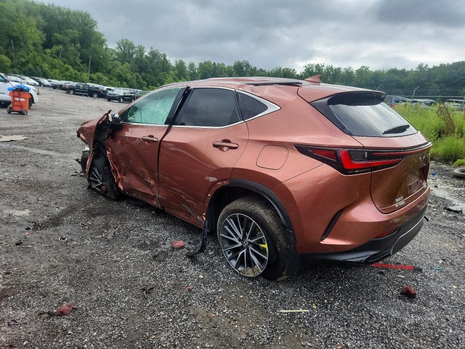 2025 LEXUS NX 350 PREMIUM 2